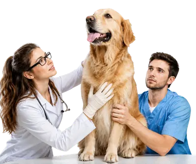 Smart care (9)